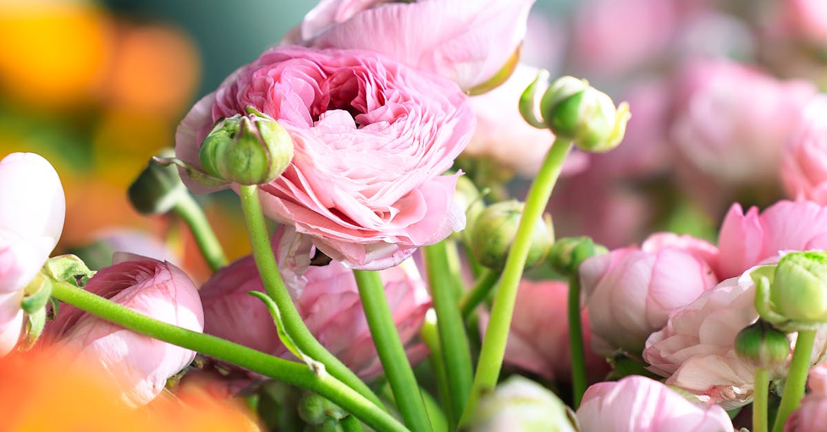 Bouquet Delivery Within Denver, Colorado, Colorado