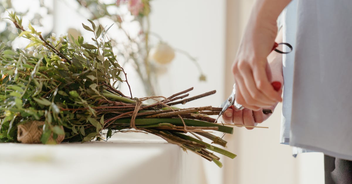 Floral Delivery Within Denver, CO