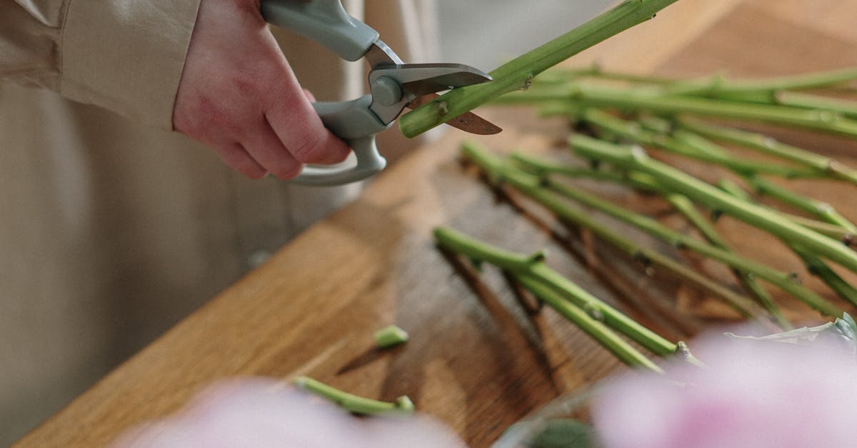 Bouquet Delivery Within Denver, Colorado, CO